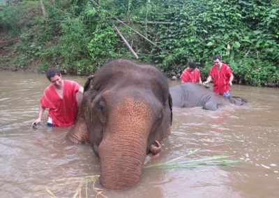 half-day-elephant-care_bathing-with-elephants