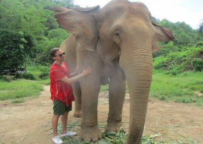 one day elephant care_learn basic commands
