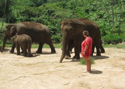 one day elephant care_say bye to the elephants