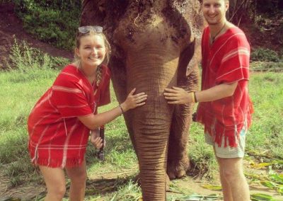 bamboo-elephant-family-care_we-love-this-elephant